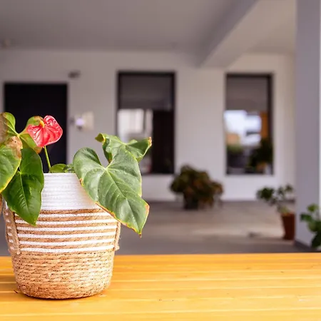 Apartment Pagani Blue - Luxury Maisonette B4 Kalamata