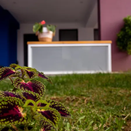 Pagani Blue - Luxury Maisonette B4